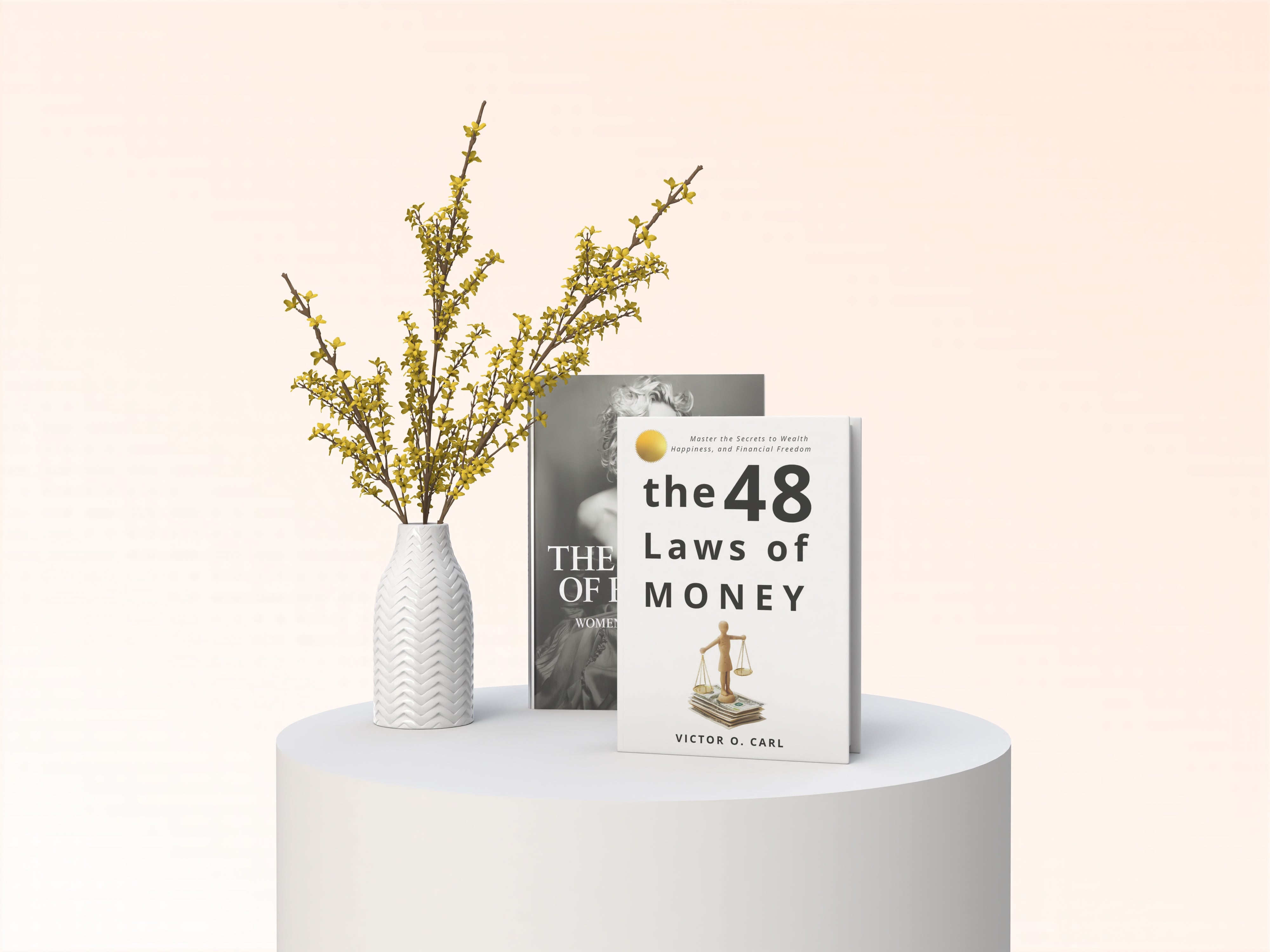 THE 48 LAWS OF MONEY